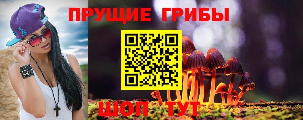Дедовск  Галлюциногенные грибы мухоморы  Вход с VPN 